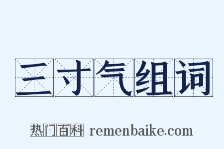 三寸气组词是什么意思的图片